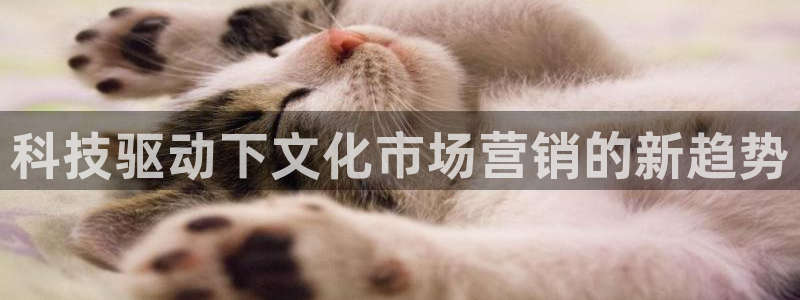 金年会体育app网页版官方入口