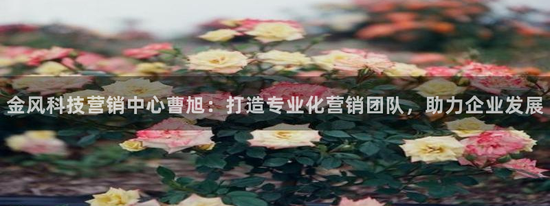金年会官方网站入口