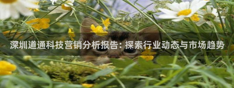 金年会体育app入口在哪