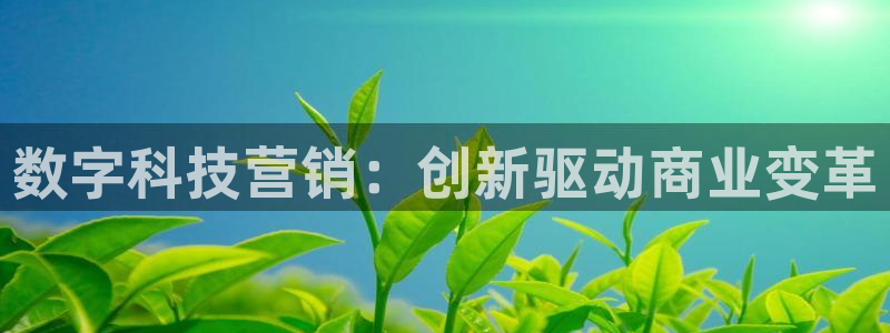 金年会官方平台是什么