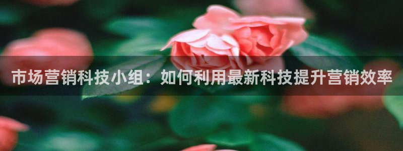 金年会ios