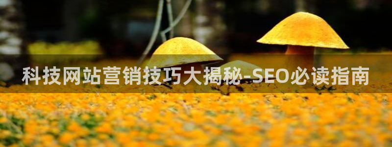 金年会赌博