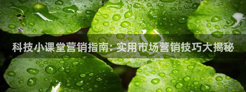 金年会体育苹果下载app