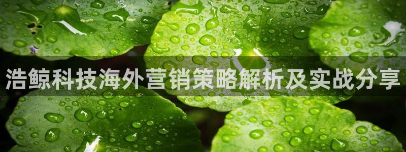 金年会ivp