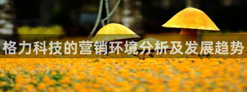 金年会app官方网站下载