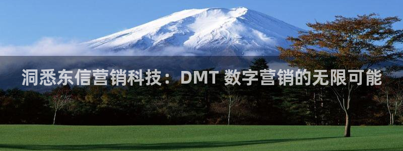 金年会网站多少