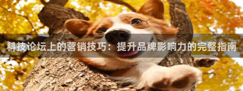 金年会APP官网下载