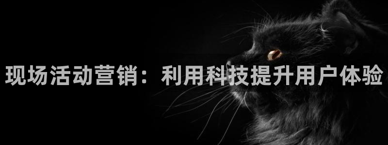 金年会网站洗黑钱