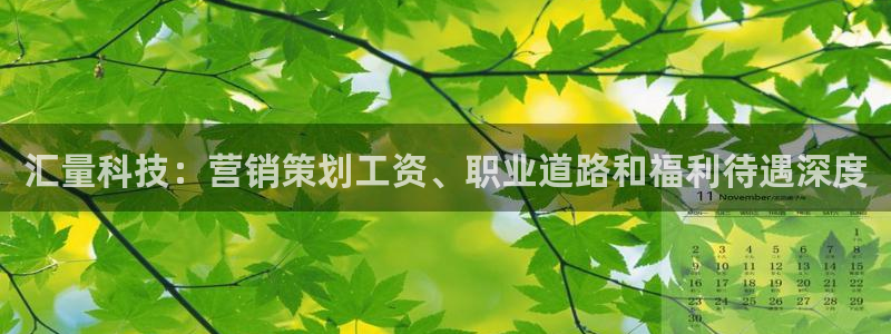 金年会网址导航下载安装