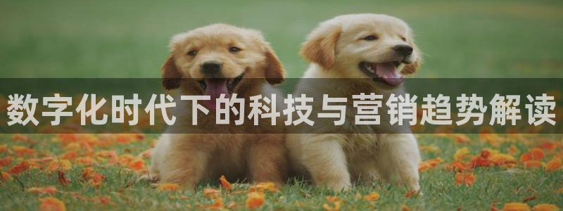 金年会app平台有人玩过吗