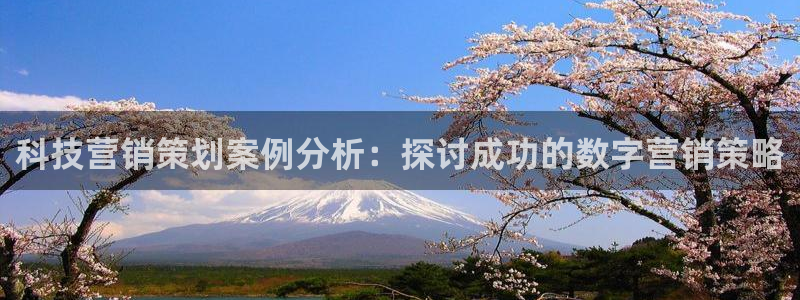 金年会下载安卓