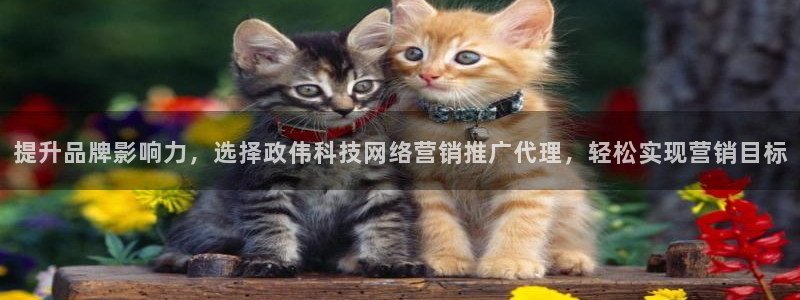 金年会信誉至上