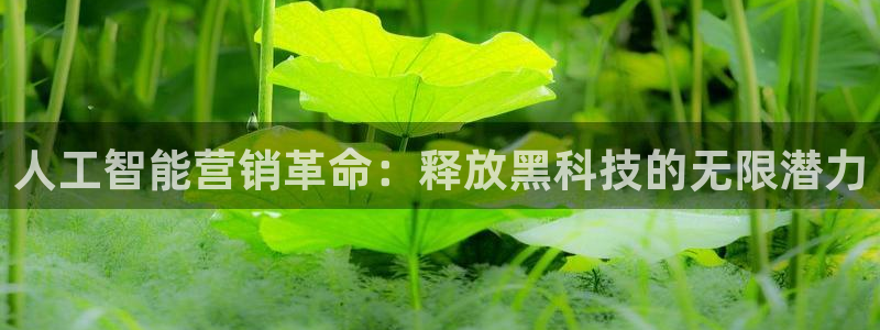 金年会体育app平台怎么样可靠吗