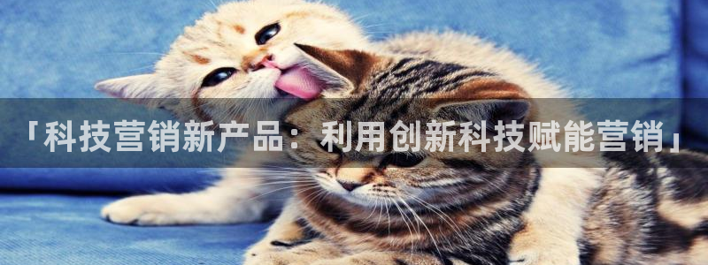 金年会手机版怎么下载